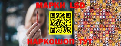 мдпв Гатчина