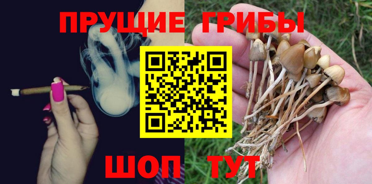 Назарово  Галлюциногенные грибы мицелий  Вход с VPN  Псилоцибиновые грибы прущие грибы 
